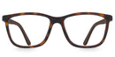GX MAGIC HAVANNA M