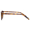 LAKE TORTOISE BROWN