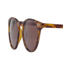 LAKE TORTOISE BROWN