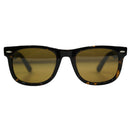 W.A.R We Are Recycled Earth