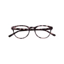 ANTEOJOS DE PANTALLA THE STAR GRIS TORT