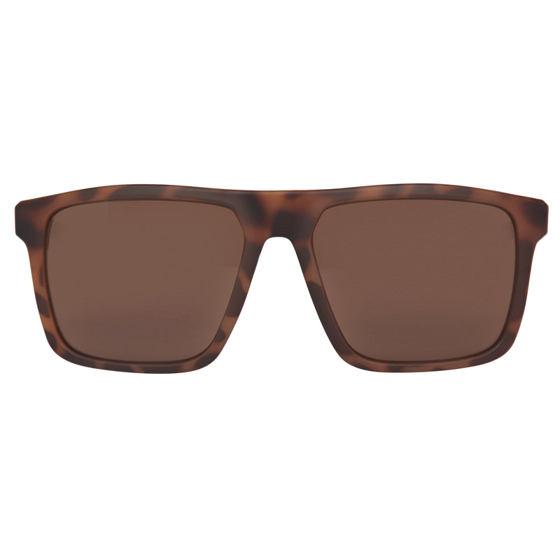 SKY TORTOISE BROWN