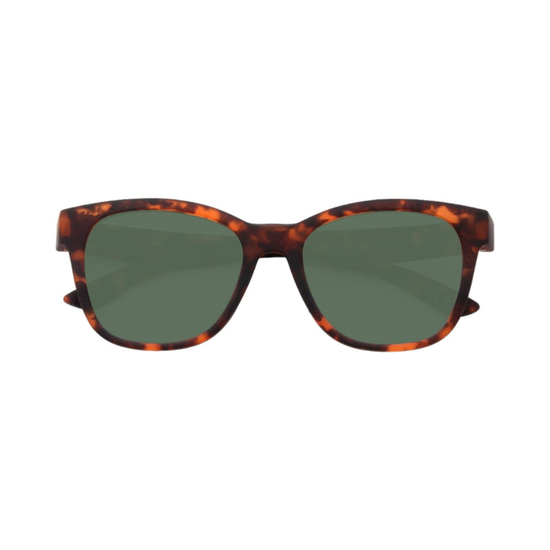 THE HUNTER CAFÉ TORT/VERDE POL
